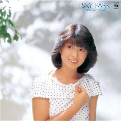 Sky Park/河合奈保子