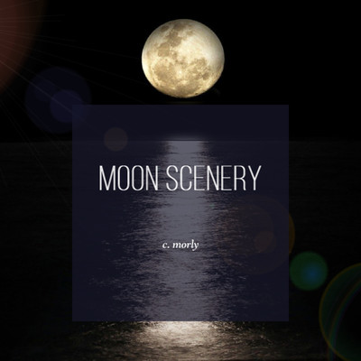 アルバム/MOON SCENERY/c.morly