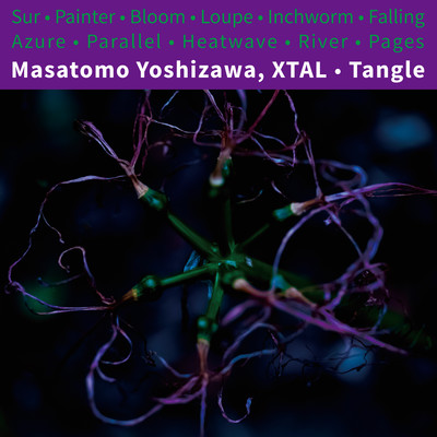 Tangle/Masatomo Yoshizawa／XTAL
