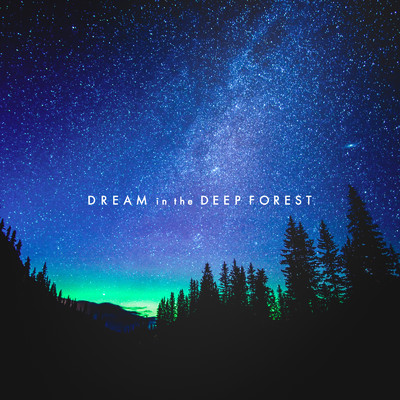 シングル/DREAM in the DEEP FOREST/Super Natural & Keigo Tanaka