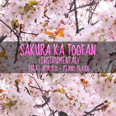 Sakura Ka Toofan (Instrumental)/Ibex