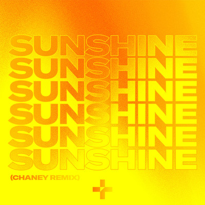 Sunshine (feat. Salena Mastroianni) [Chaney Remix]/Ruff Loaderz & Ginchy