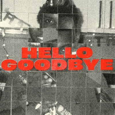 シングル/Hello Goodbye/Stevan