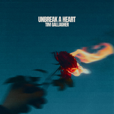 Unbreak a Heart/Tim Gallagher