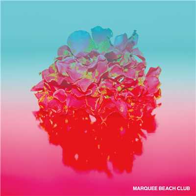 wonder(WONDERVER Remix)/MARQUEE BEACH CLUB