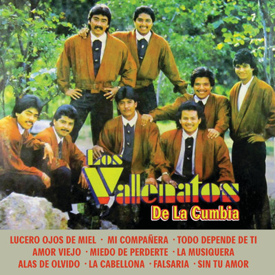 シングル/Sin Tu Amor/Los Vallenatos De La Cumbia