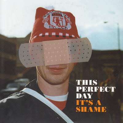 アルバム/It's A Shame/This Perfect Day