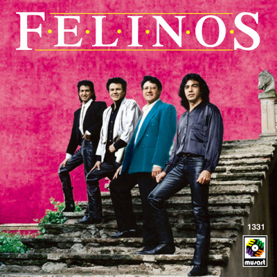 シングル/Alma Sin Luz/Los Felinos