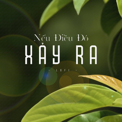 シングル/Neu dieu do xay ra (Lofi)/Hoang Mai