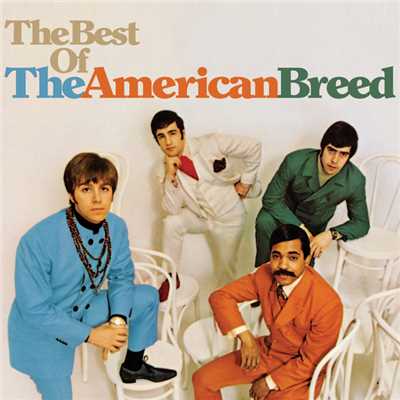 The Best Of The American Breed/The American Breed