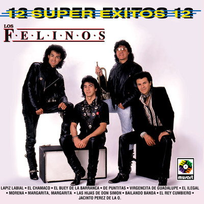 12 Super Exitos, Vol. 2/Los Felinos