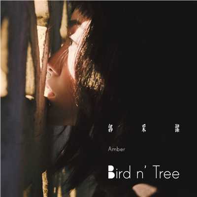 シングル/Bird n' Tree/Amber Kuo