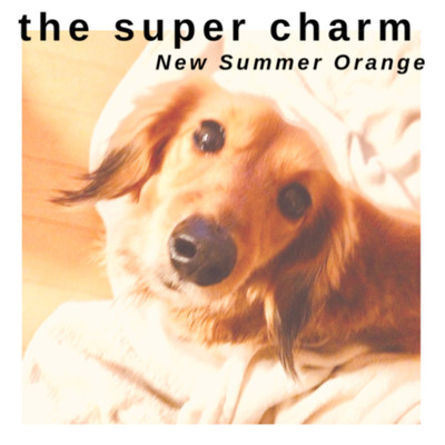 New Summer Orange/the super charm