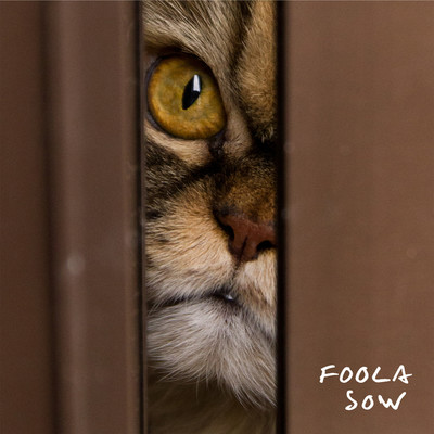 アルバム/SOW/FOOLA