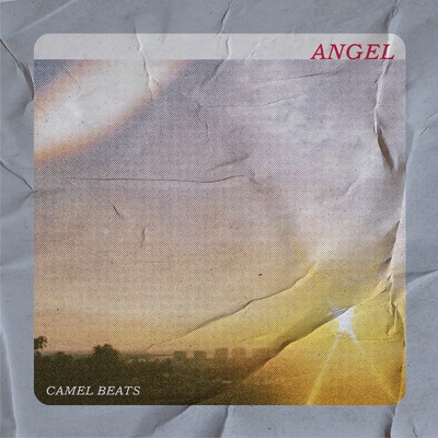 アルバム/ANGEL/CAMEL BEATS