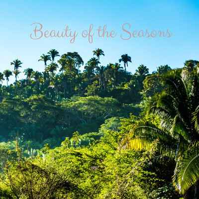 シングル/Beauty of the Seasons (Club Mix)/Mortal OTB