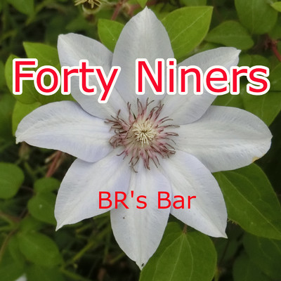 シングル/Forty Niners/BR's Bar