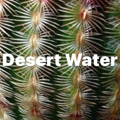 シングル/Desert Water/Candy Voice OG & N.仏陀.a.k.a油屋