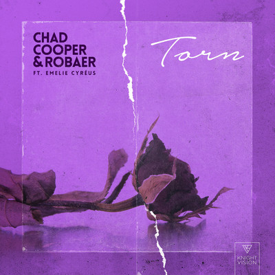 シングル/Torn (feat. Emelie Cyreus)/Chad Cooper, Robaer