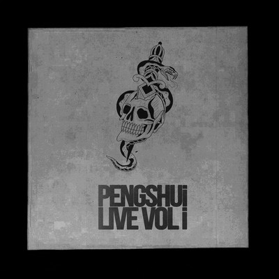 アルバム/Live Vol i/PENGSHUi