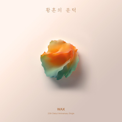 シングル/Before the Sunset Falls (Instrumental) [2025 Remake]/Wax