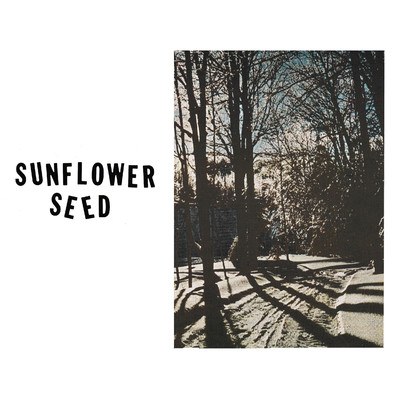 Sunflower Seed/Magazine Beach