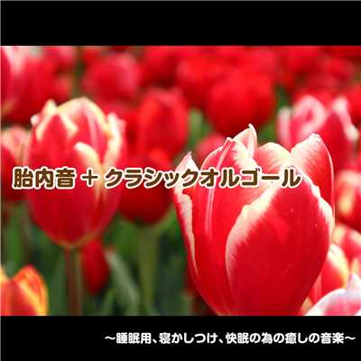 ノクターン第2番 変ホ長調 Op.9-2 (胎内音入りオルゴールバージョン)/浜崎 vs 浜崎