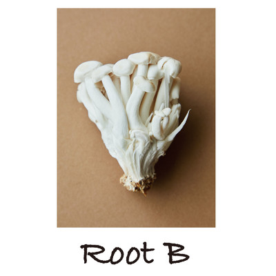 アルバム/Root B/MaSssuguMusic