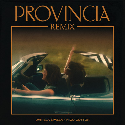 Provincia (Remix)/Daniela Spalla／Nico Cotton
