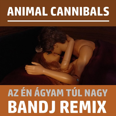 Az en agyam tul nagy (Bandj Remix)/Animal Cannibals