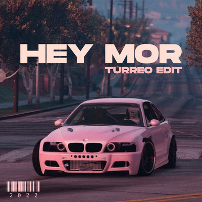 シングル/Hey Mor (Turreo Edit)/Ganzer DJ