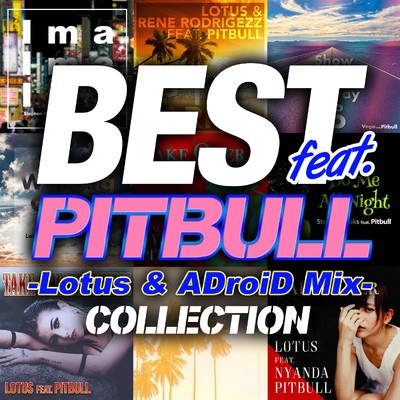アルバム/BEST feat. PITBULL COLLECTION -Lotus & ADroiD Mix-/Various Artists