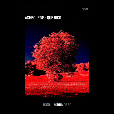 アルバム/Que Rico/Ashbourne