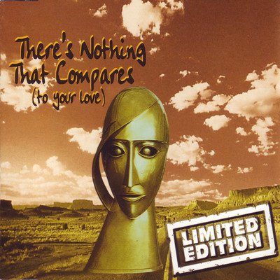 There's Nothing That Compares (Sonic Piracy Remix)/Limited Edition