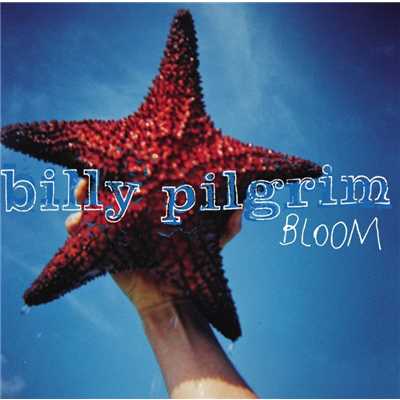 All She Talks/Billy Pilgrim