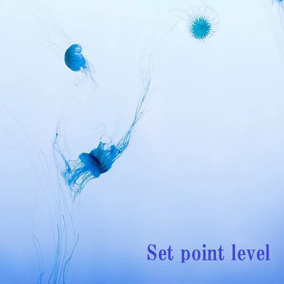 アルバム/Yellowknife/Set point level