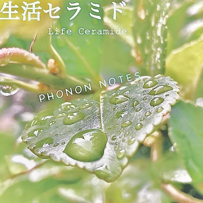アルバム/生活セラミド/PHONON NOTES