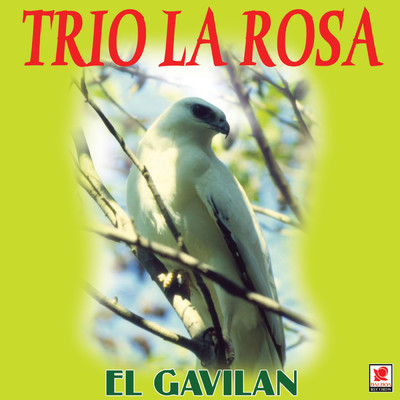 El Gavilan/Trio La Rosa