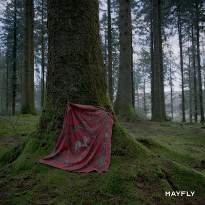 アルバム/Mayfly/Mantaraybryn