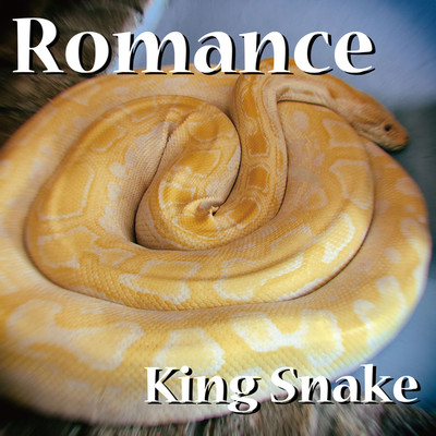 Romance/King Snake
