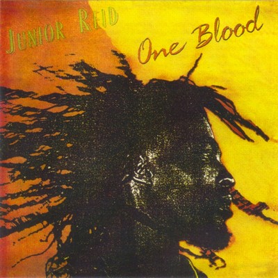 アルバム/One Blood/Junior Reid