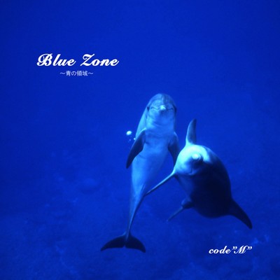 アルバム/Blue Zone 〜青の領域〜/codeM
