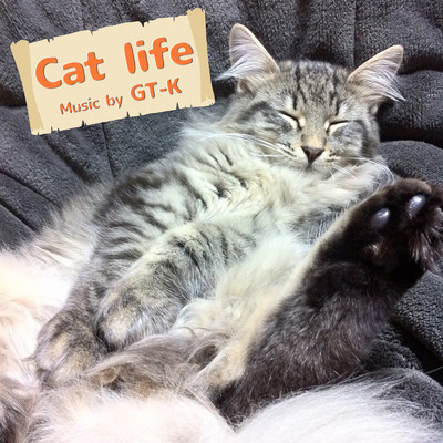 アルバム/Cat life/GT-K