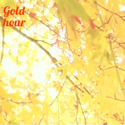アルバム/Gold hour/∞