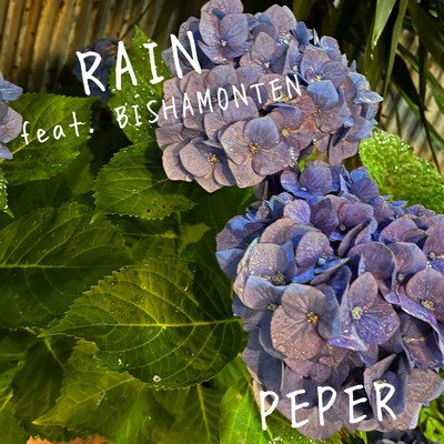 RAIN (feat. BISHAMONTEN)/PEPER
