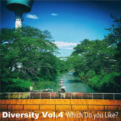 Diversity Vol.4 Which Do You Like？/Various Artists