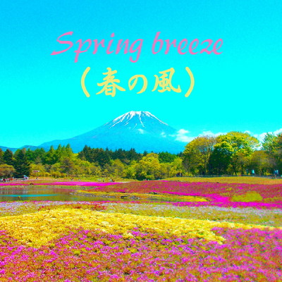 アルバム/春の風/Sandara Botch