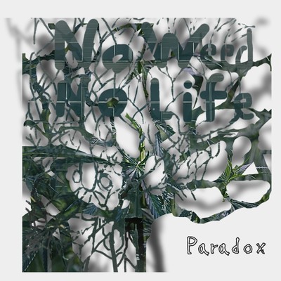 シングル/No weed No life/Paradox