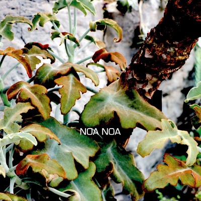 NOA NOA feat. Chihiro Sings