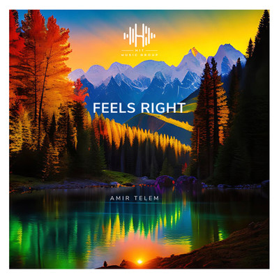 シングル/Feels Right/Amir Telem